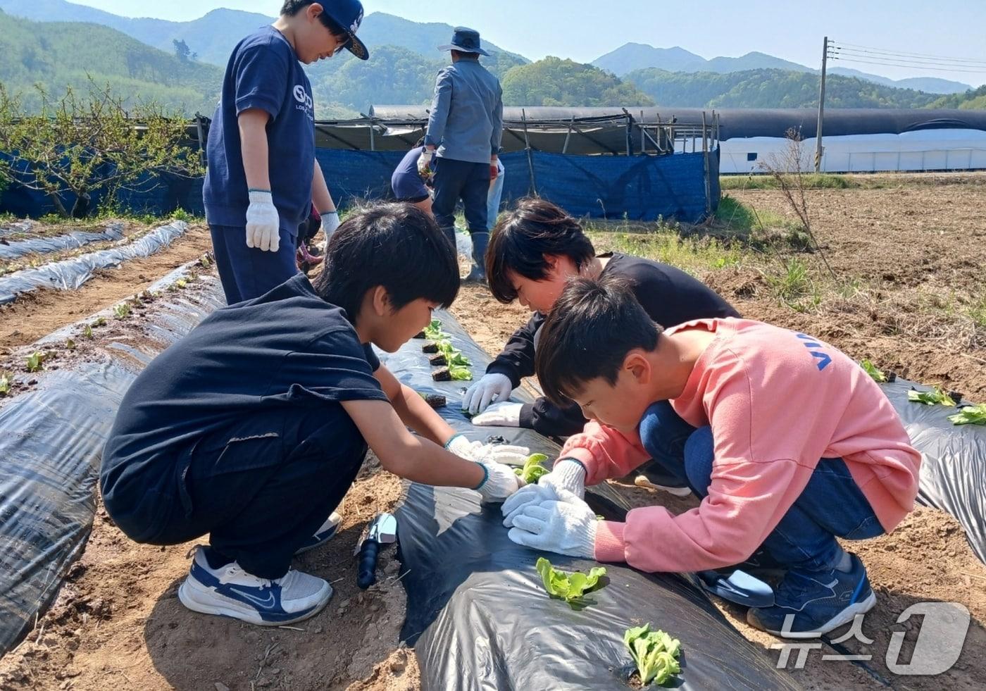 충북 진천 초평초등학교 학생들이 25일 텃밭 가꾸기 행사를 진행하고 있다.(진천교육지원청 제공)/뉴스1