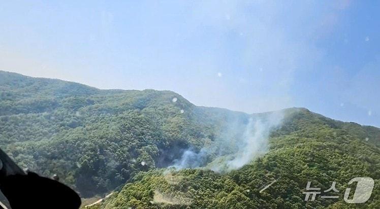 본문 이미지 - 25일 오후 1시40분쯤 경북 김천시 봉산면 상금리  야산에서 난 불로 연기가 피어오르고 있다.(산림청 제공. 재판매 및 DB 금지)2025.4.25/뉴스1