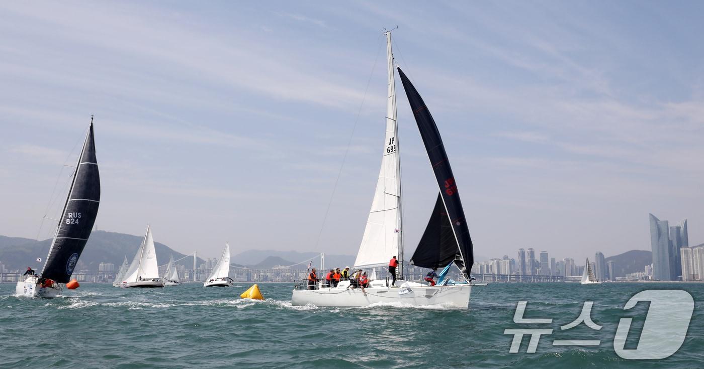 물살을 가르며 질주하는 요트.(뉴스1 DB)ⓒ News1 윤일지 기자