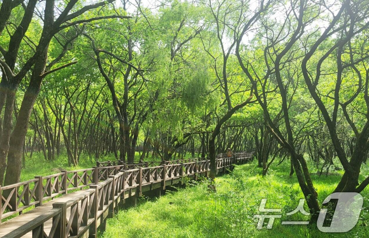 본문 이미지 - 광주호 호수생태원 전경.(광주시 제공. 재판매 및 DB 금지)