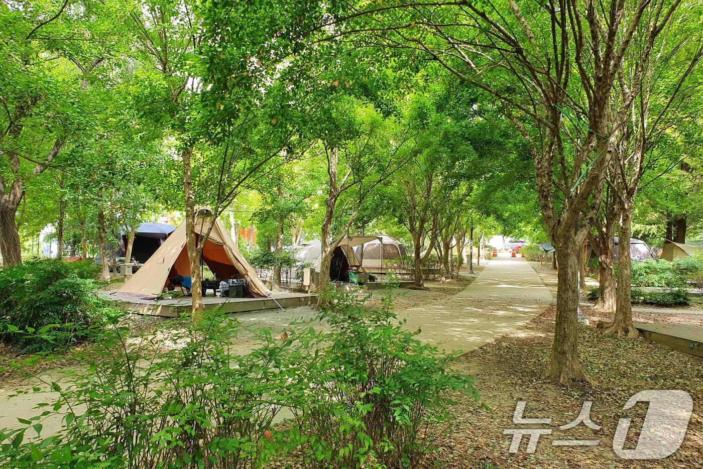 본문 이미지 - 광주 야영장 전경.(광주시 제공. 재판매 및 DB 금지) ⓒ News1