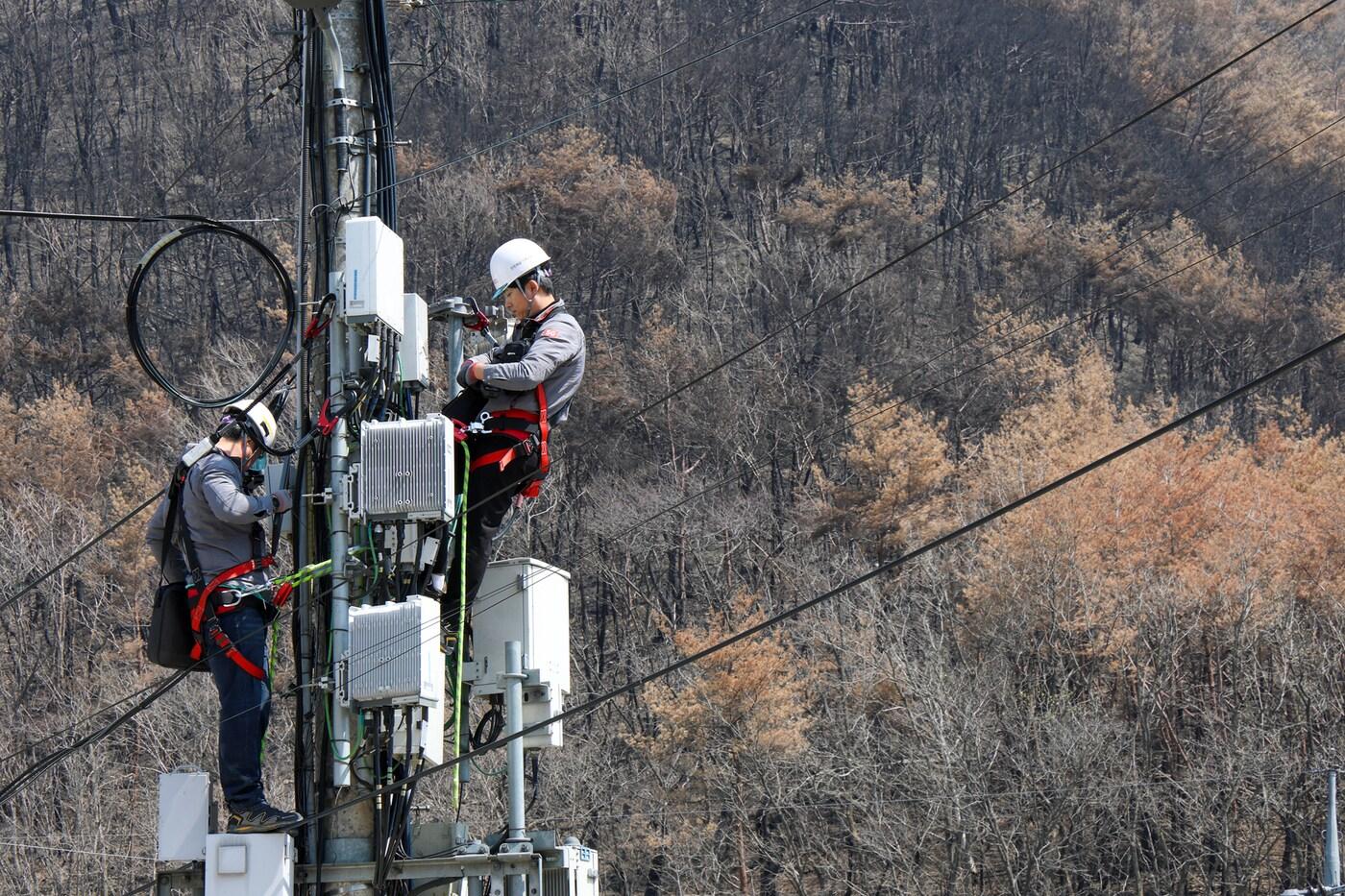 KT가 3월 경북 지역에서 발생한 초대형 산불로 피해를 입은 경상북도 안동시 임하면 일대 통신시설 복구 및 점검하는 모습 (KT 제공)