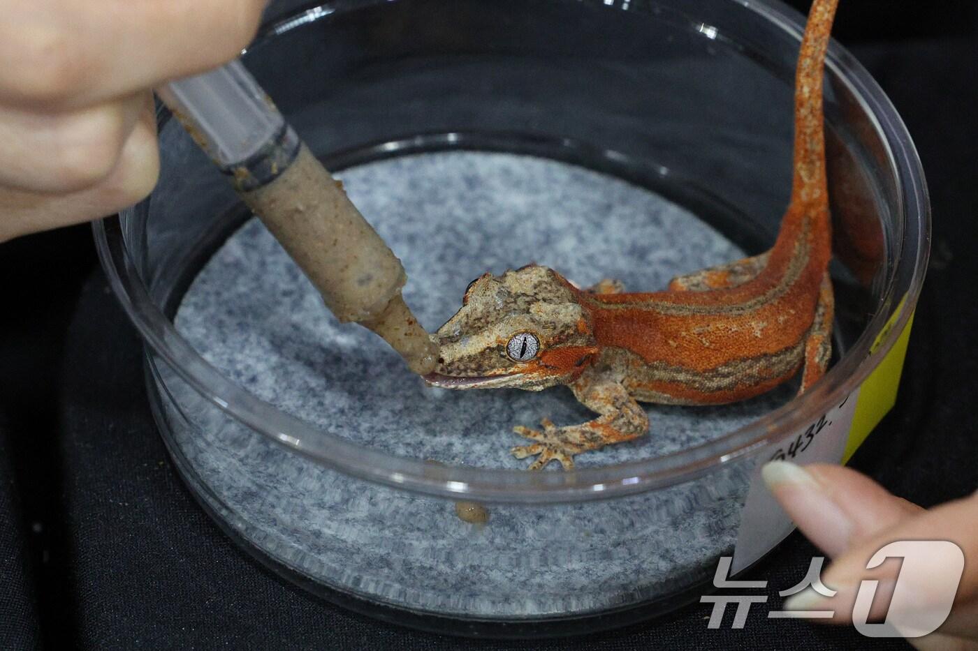 자료사진(사진은 기사와 무관함)./뉴스1