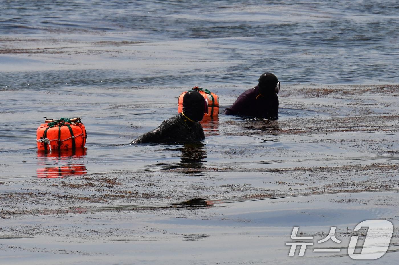 경북 포항시 북구 환여동 앞 바다에서 물질 중인 해녀.(뉴스1 자료, 재판매 및 DB금지) 2026.1.6/뉴스1 ⓒ News1 최창호 기자