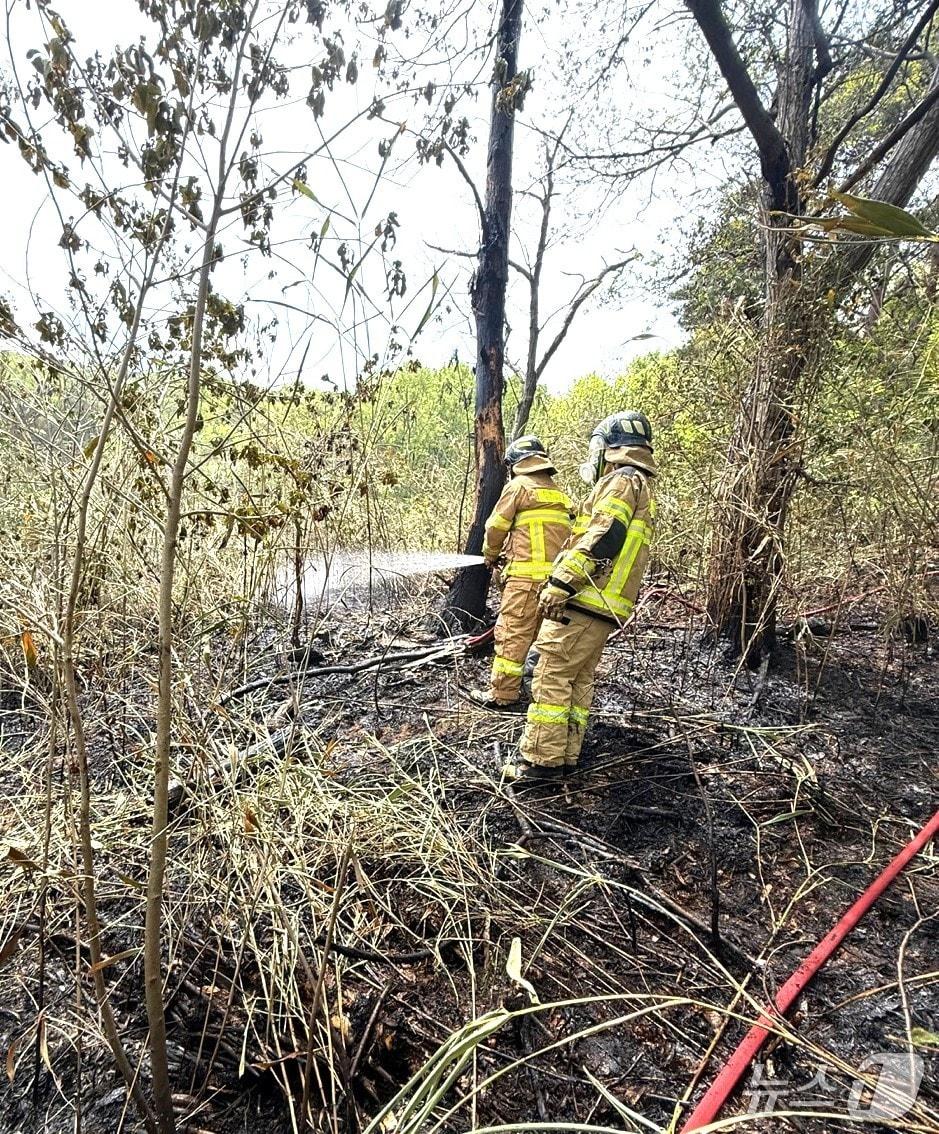 본문 이미지 - 27일 오전 11시 36분께 전북자치독 순창군 풍산면 삼촌리의 한 주택 뒤 대나무밭에서 화재가 발생했다.(전북소방본부 제공, 재판매 및 DB 금지)/뉴스1