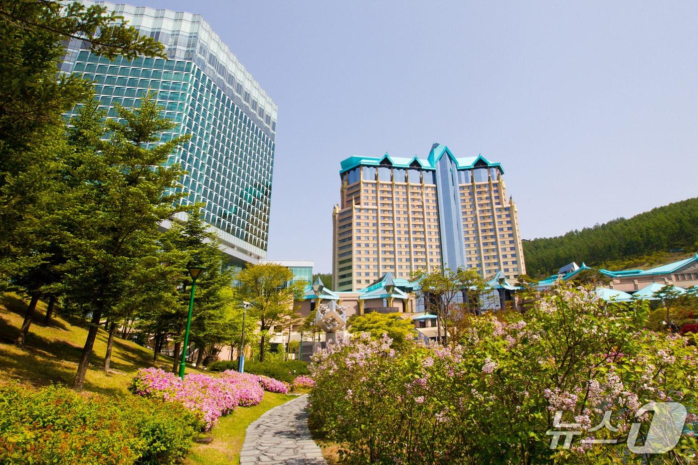 강원랜드 하이원그랜드호텔 전경. &#40;재판매 및 DB금지&#41;/뉴스1