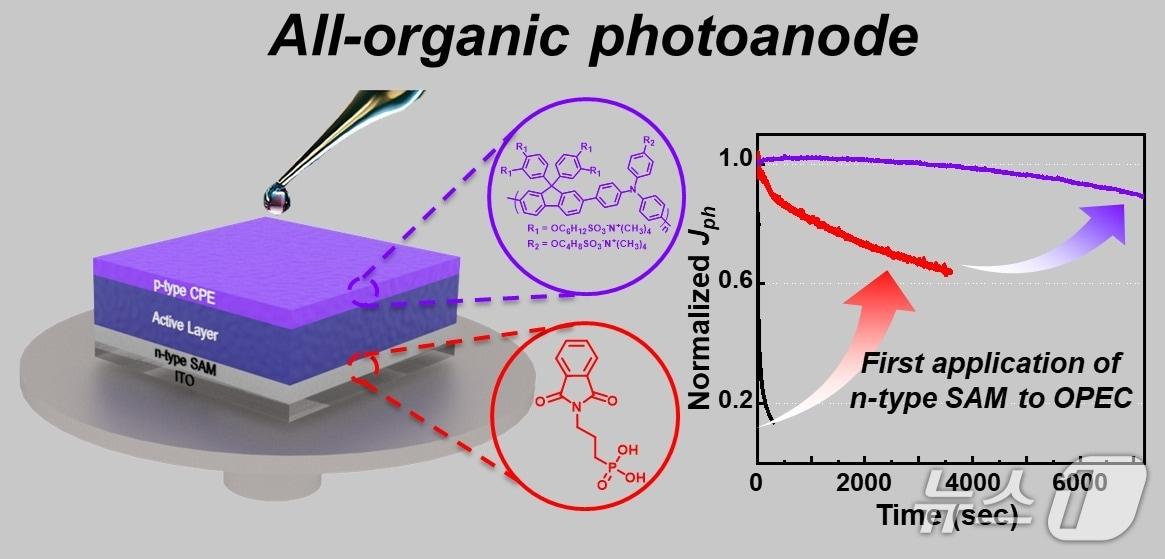 본문 이미지 - 연구팀이 개발한 고안정성 전유기 광전극의 구조와 성능. &#40;UNIST 제공. 재판매 및 DB 금지&#41; /뉴스1