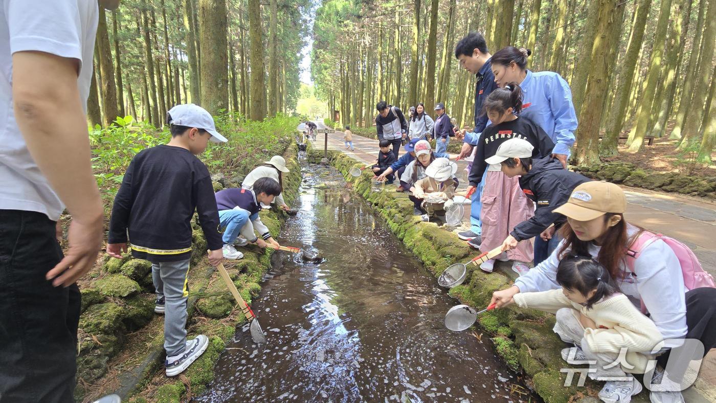 제주시 절물생태관리소는 어린이날을 맞아 오는 5월 3일 절물자연휴양림에서 가족 체험 프로그램 '5·3! 초록숲으로 오삼!'을 운영한다고 28일 밝혔다./뉴스1 