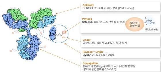 본문 이미지 - 오름테라퓨틱이 개발 중인 단백질분해제항체접합체(TDC) 'ORM-5029' 모식도.(오름테라퓨틱 제공)