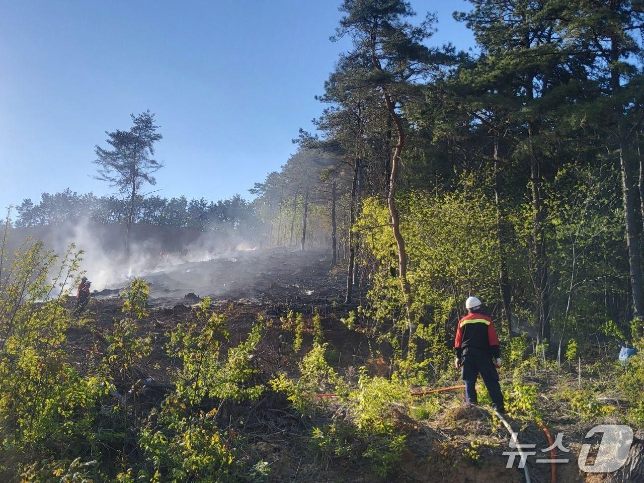 본문 이미지 - 26일 경기 평택시 진위면 동천리 야산에서 불이 나 산림 당국이 1시간 21분 만에 진화했다.(소방당국 제공. 재판매 및 DB 금지)/뉴스1