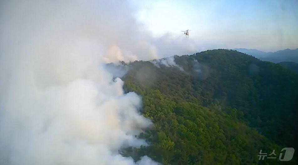 본문 이미지 - 대구 북구 함지산 산불 발생 이틀째인 29일 산림 당국이 헬기 51대를 투입해 진화 작업을 펼치고 있다.&#40;산림청 제공. 재판매 및 DB 금지&#41; 2025.4.29/뉴스1 ⓒ News1 이성덕 기자