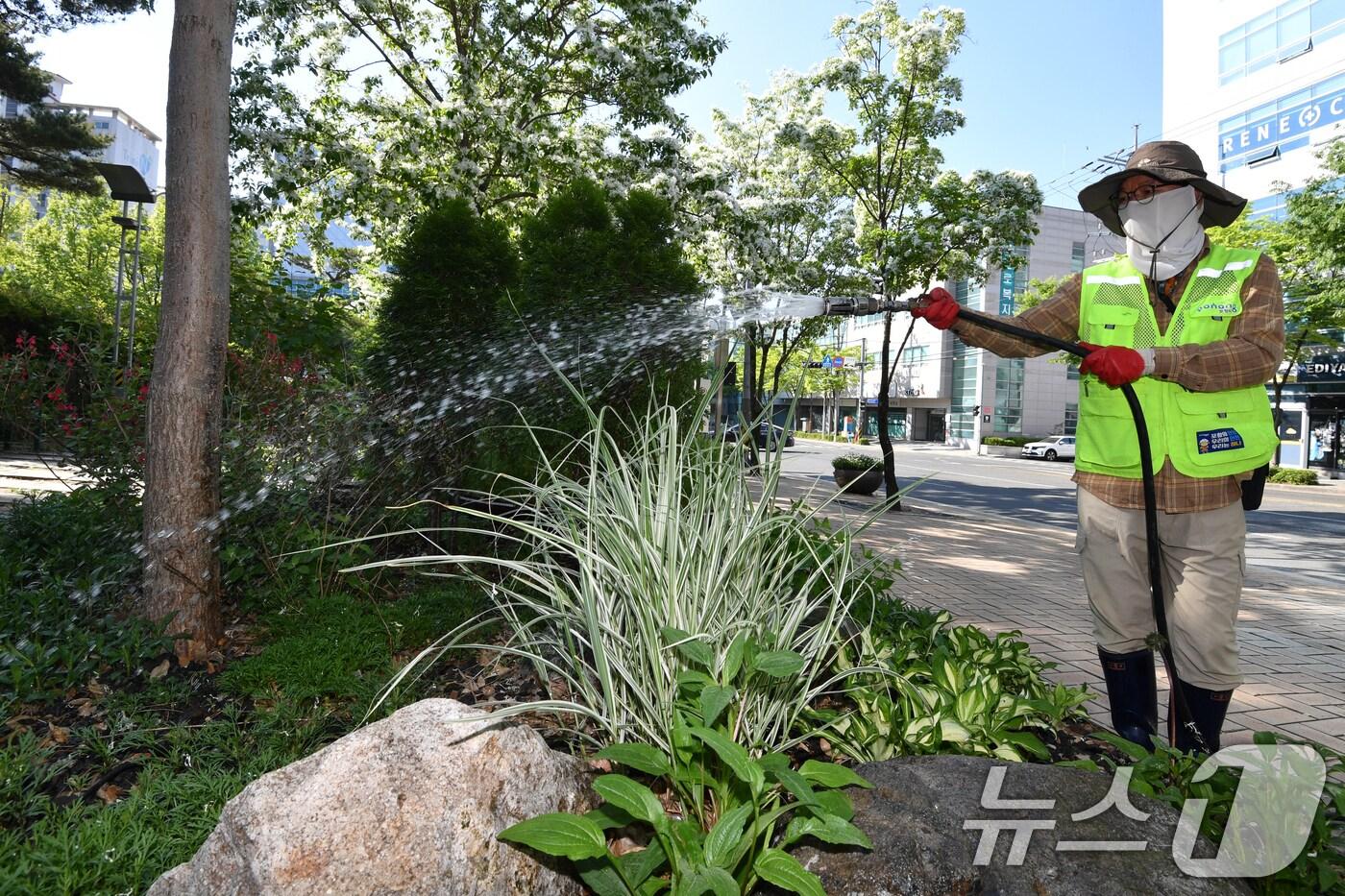 경북 포항시 남구 포항시청 앞에 있는 작은 정원에서 근로자들이 물을 주고 있는 모습. (뉴스1 자료) 2025.7.3/뉴스1