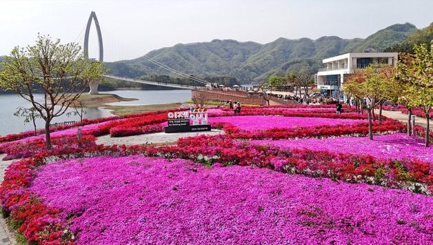 본문 이미지 - 전북자치도 임실군 옥정호 붕어섬 요산공원이 붉게 물들었다. 출렁다리를 지나면 봄꽃들이 상춘객을 맞는다.&#40;임실군제공. 재판매 및 DB금지&#41;2025.4.29/뉴스1 ⓒ News1 김동규 기자