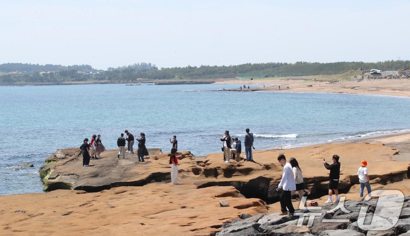 본문 이미지 - 사계 해안(자료사진)/뉴스1