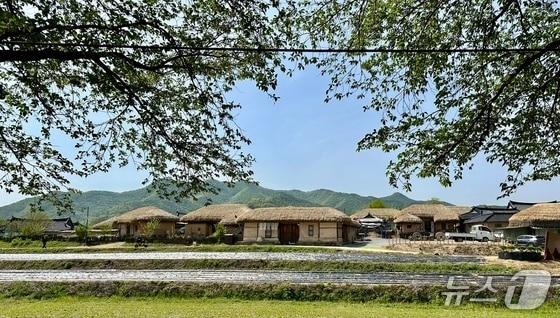 본문 이미지 - 평화로운 분위기의 하회마을ⓒ News1 윤슬빈 기자