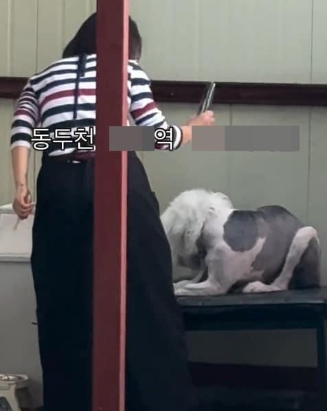 본문 이미지 - (인스타그램 갈무리) /뉴스1