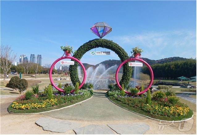 본문 이미지 - 울산태화강국가정원에 설치된 대형꽃반지.&#40;울산광역시제공.재판매 및 DB금지&#41;