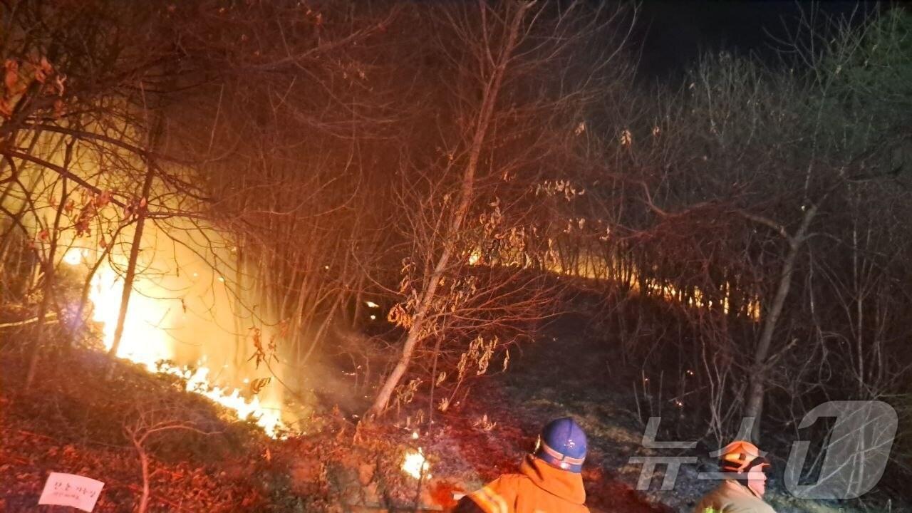 본문 이미지 - 화재 현장. (경기도소방재난본부 제공. 재판매 및 DB 금지) 2025.4.3/뉴스1