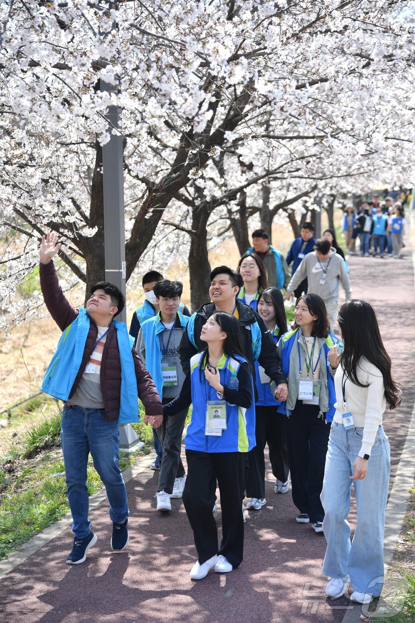 본문 이미지 - 2024년 행사에서 조폐공사 직원과 지적장애인이 함께 벚꽃길을 걷고 있다.(한국조폐공사 제공.재판매 및 DB금지)/뉴스1