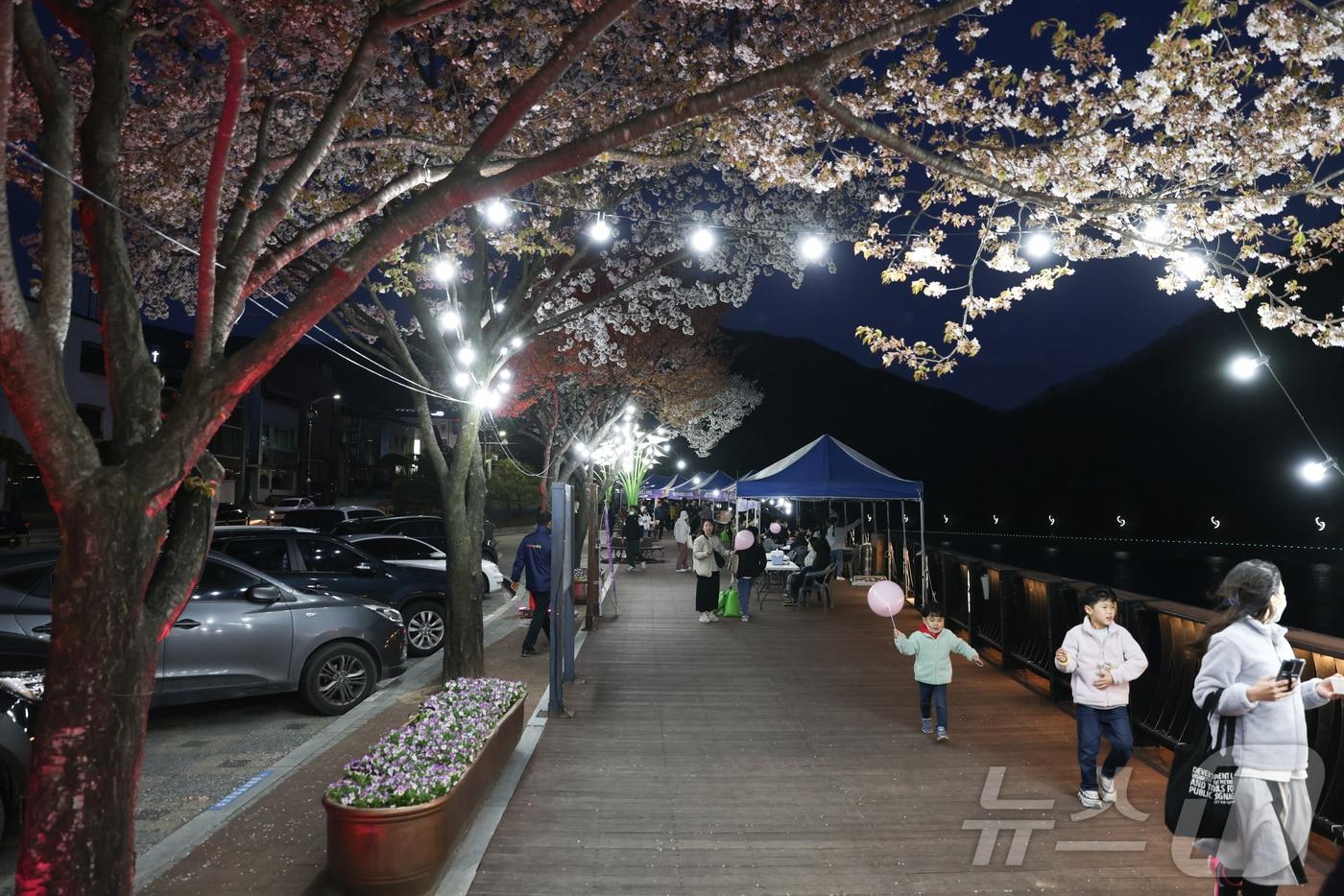  지난해 단양 벚꽃야경투어./뉴스1