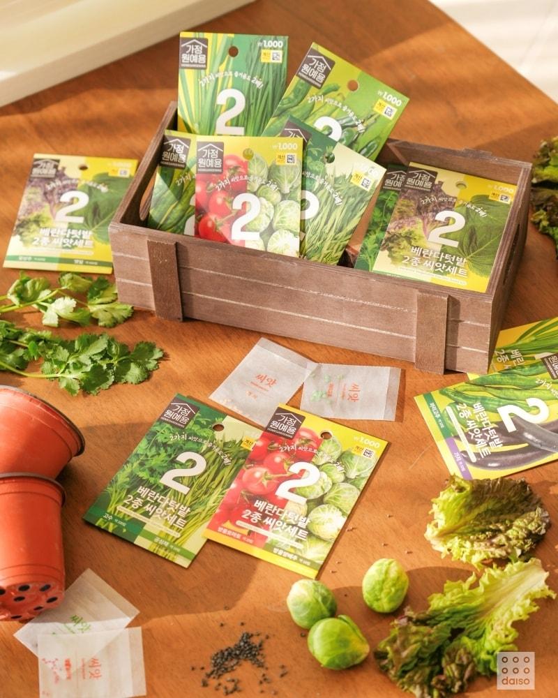 본문 이미지 - 베란다텃밭 2종 씨앗세트(아성다이소 제공)