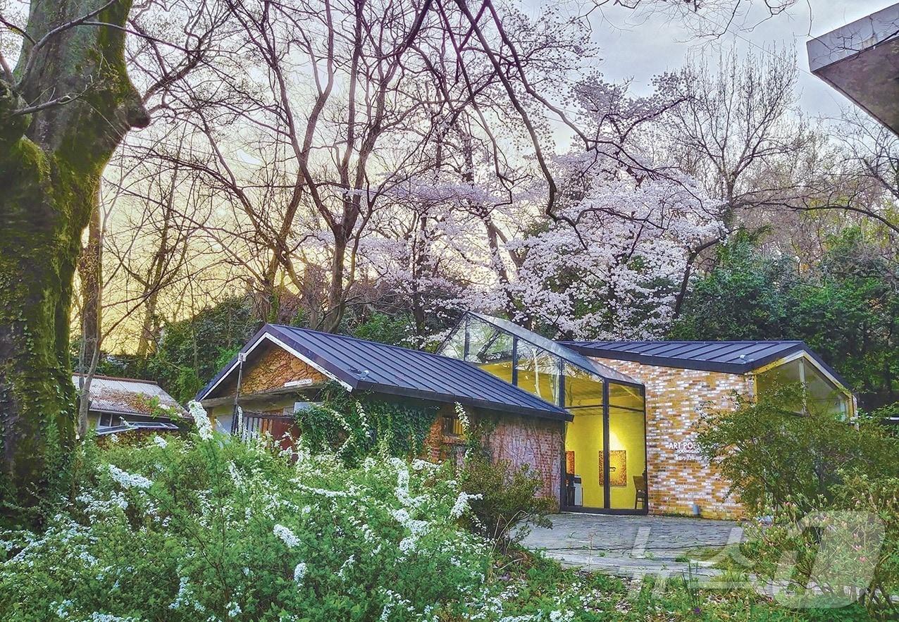 본문 이미지 - 광주 남구 양림동에 위치한 호랑가시나무창작소 &#40;호랑가시나무창작소 제공. 재판매 및 DB금지&#41; /뉴스1 