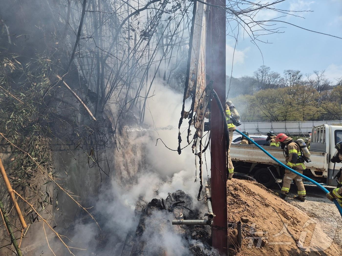 본문 이미지 - 3일 낮 12시 32분쯤 광주 북구 운암동의 한 대나무밭에서 불이 나 소방당국이 화재를 진화하고 있다.(광주 북부소방 제공)2025.4.3/뉴스1