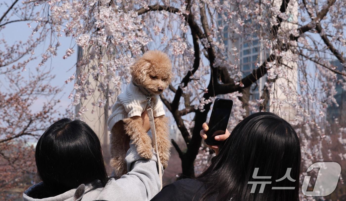 ⓒ News1 박지혜 기자