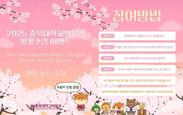 본문 이미지 - 충북대학교 박물관 벚꽃 주간 이벤트 포스터.(충북대 제공. 재판매 및 DB금지)/뉴스1