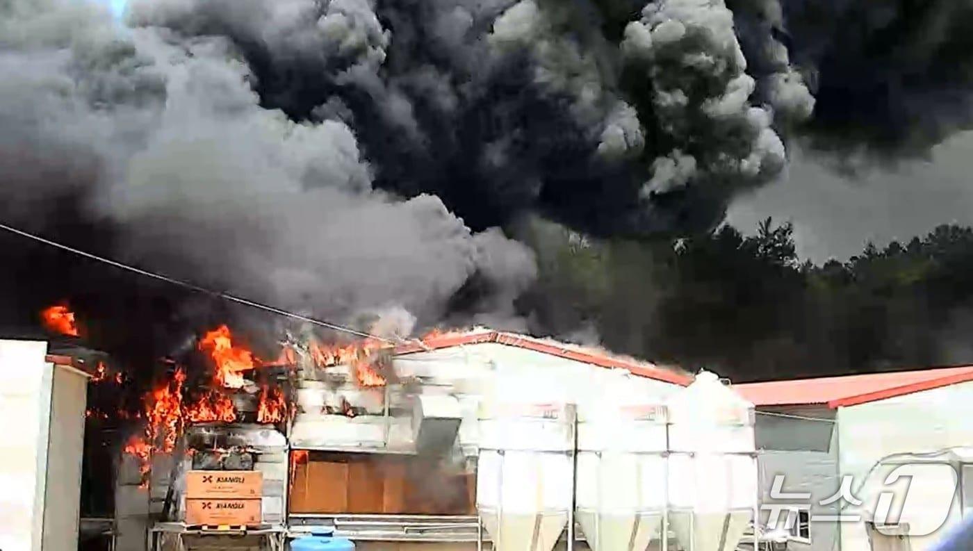 본문 이미지 - 29일 오전 10시 56분쯤 경북 영주시 안정면 동원리 계사에서 불이나 소방 당국이 화재를 진압하고 있다.(경북소방본부 제공. 재판매 및 DB 금지)2025.4.30/뉴스1