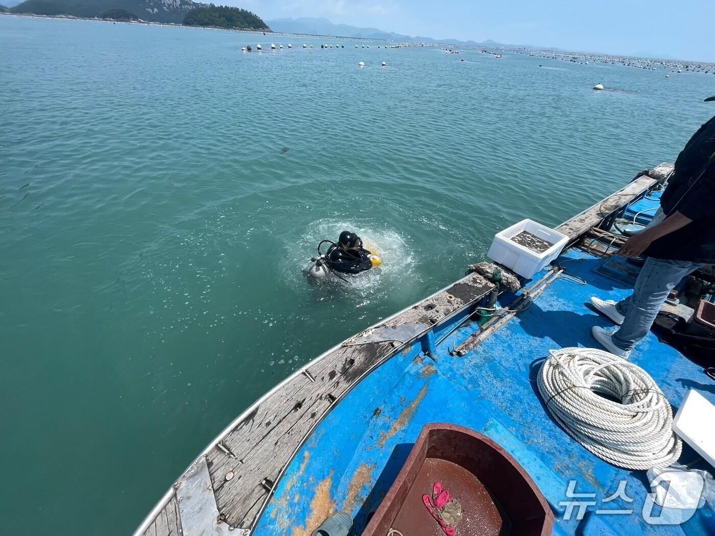 본문 이미지 - 완도서 해삼 종자 방류 모습.(전남도 제공. 재판매 및 DB금지) 2025.4.30/뉴스1