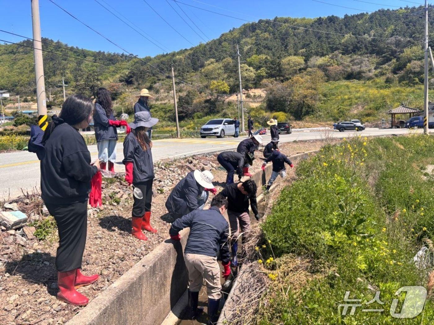 본문 이미지 - 월동 왕우렁이 수거 모습.(전남도 제공. 재판매 및 DB금지) 2025.4.30/뉴스1