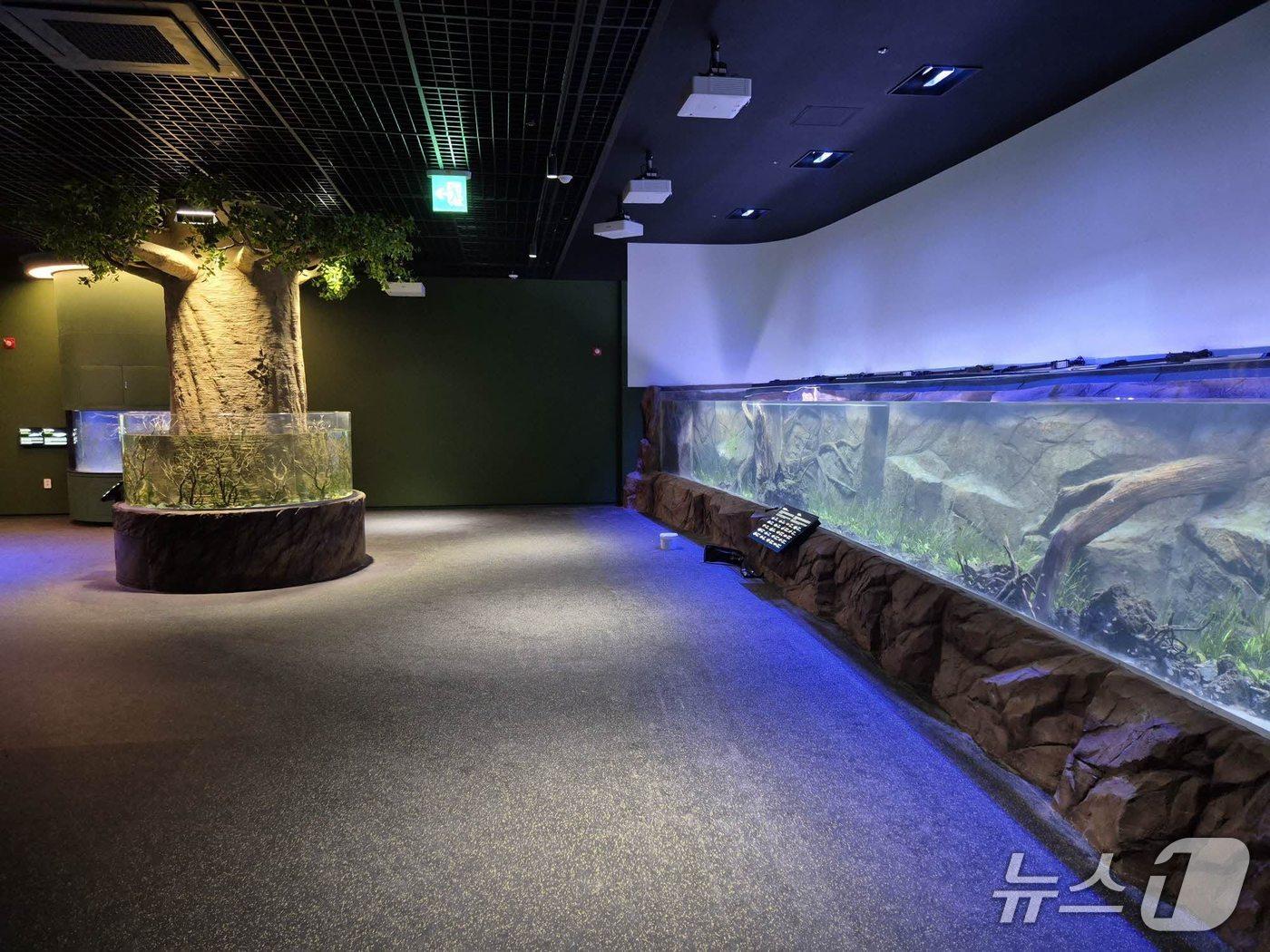 본문 이미지 - 단양 다누리아쿠아리움 에코리움.(단양군 제공)/뉴스1 