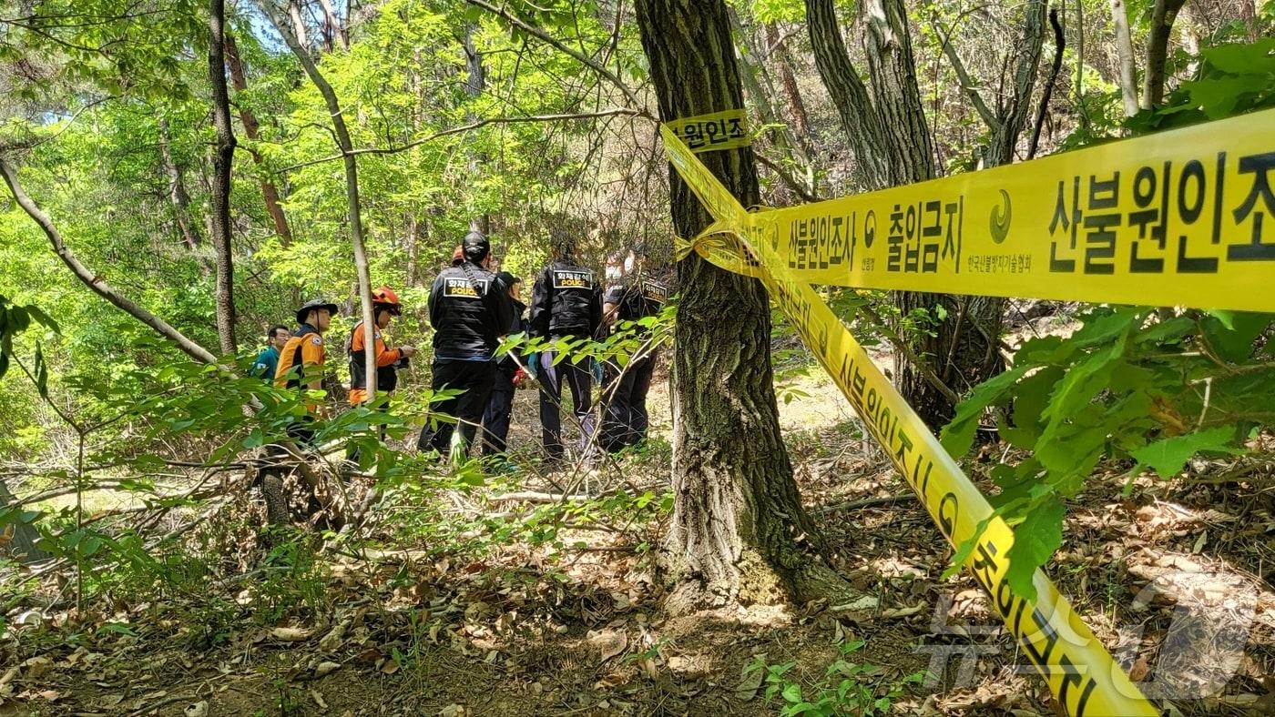 30일 오전 10시 국립산림과학원과 경찰 등 유관기관이 대구 북구 노곡동 함지산 산불 원인을 밝히기 위해 합동감식을 진행하고 있다.2025.4.30/뉴스1 ⓒ News1 이성덕 기자