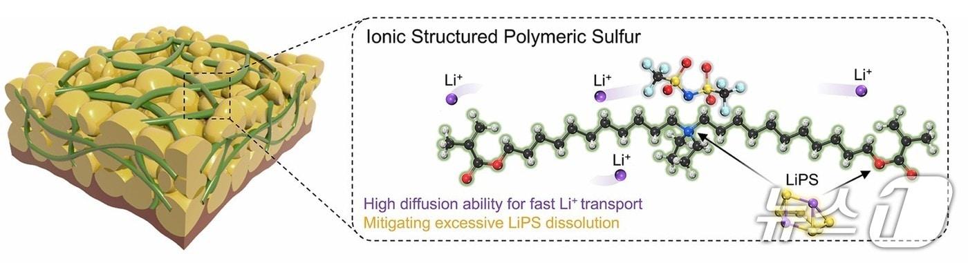 네트워크 이온성-황 고분자 모식도.(군산대 제공. 재판매 및 DB금지)