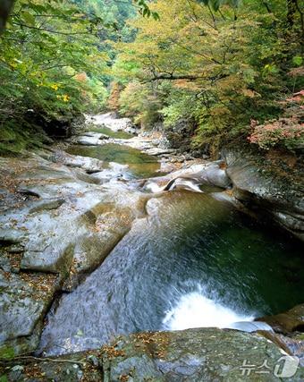 본문 이미지 - 함양 지리산 칠선계곡(함양군 제공. 재판매 및 DB금지).