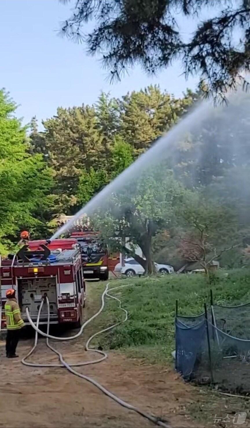 본문 이미지 - 대구 북구 산불이 재발화한 30일 오후 대구소방본부 소방관들이 함지산 원담사 인근에서 물을 뿌리고 있다. (대구소방안전본부 제공. 재판매 및 DB 금지) 2025.4.30/뉴스1 ⓒ News1 남승렬 기자