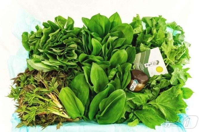 본문 이미지 - 강원 영월군과 영월군전자상거래영농조합법인의 '영특한 산채꾸러미' 자료 사진. (영월군 제공. 재판매 및 DB금지) 2025.4.4/뉴스1