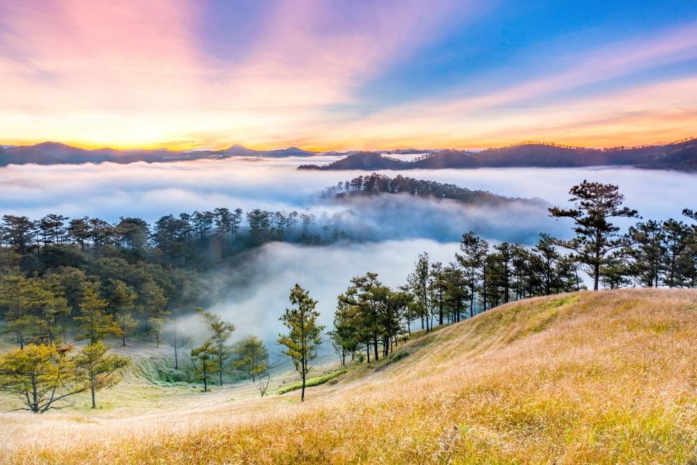 본문 이미지 - 베트남 달랏. (한진관광 제공)