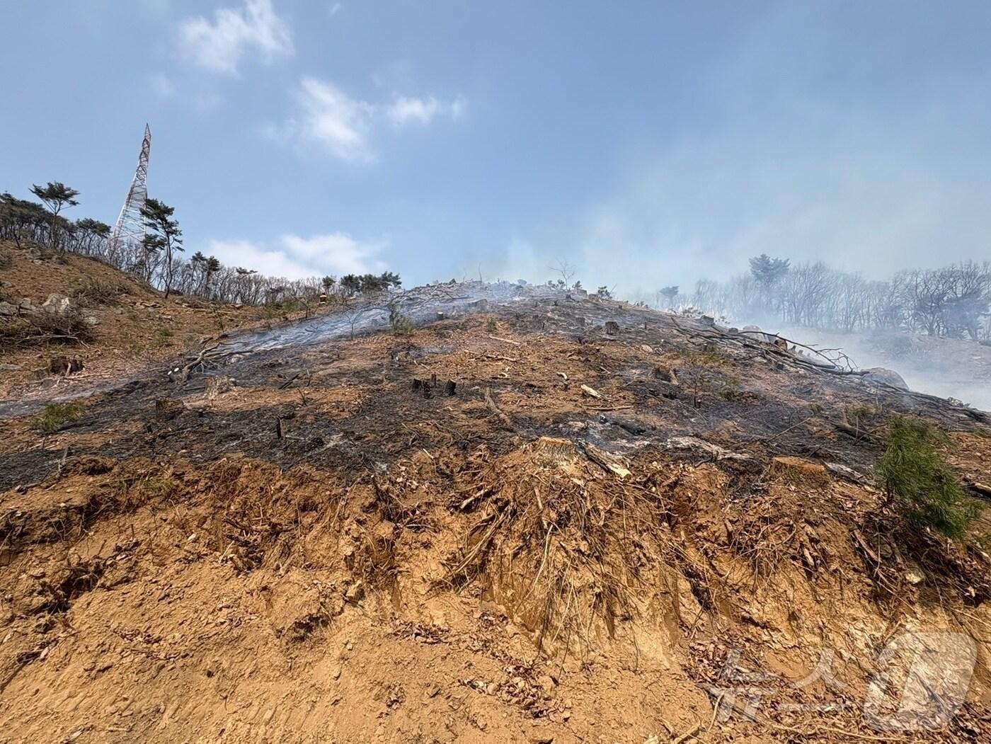 본문 이미지 - 양주 산불 현장(산림청 제공, 재판매 및 DB 금지)/뉴스1