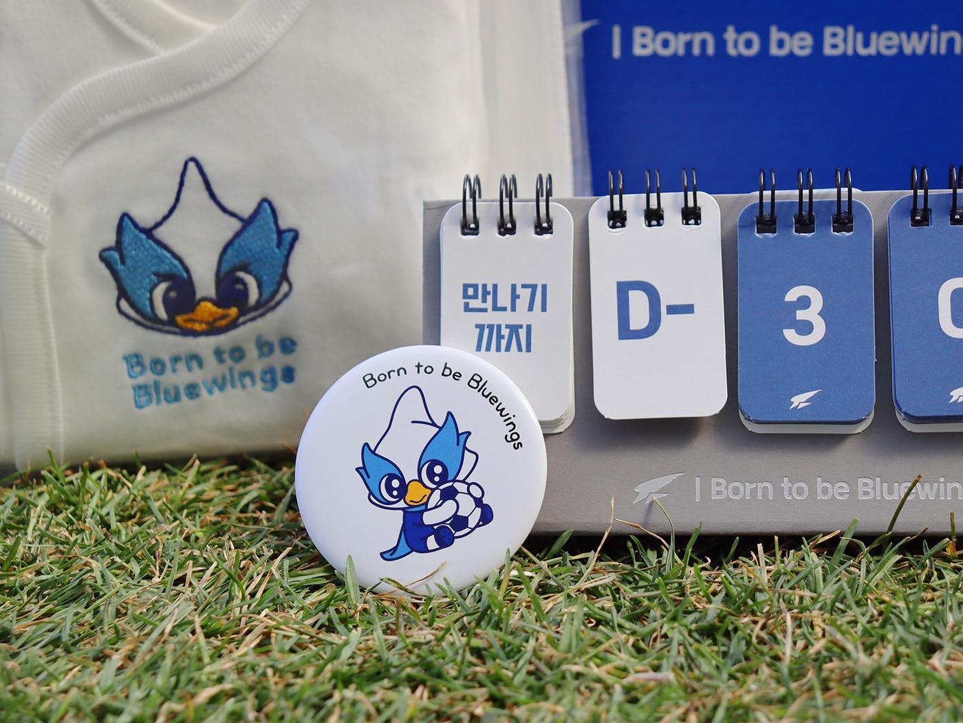 본문 이미지 -  수원 삼성이 '본투비 블루윙즈' 프로젝트를 시작한다.(수원 제공)