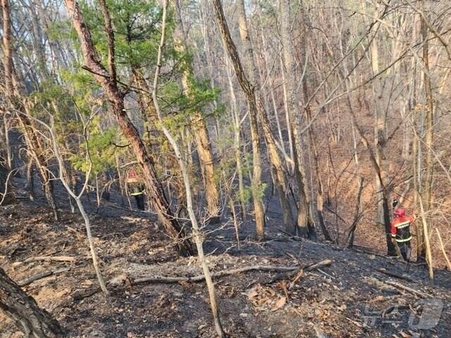 본문 이미지 - 4일 오후 3시59분쯤 충북 영동군 양산면 누교리 한 야산에서 불이 나 1시간 만에 진화됐다. (영동소방서 제공. 재판매 및 DB금지)