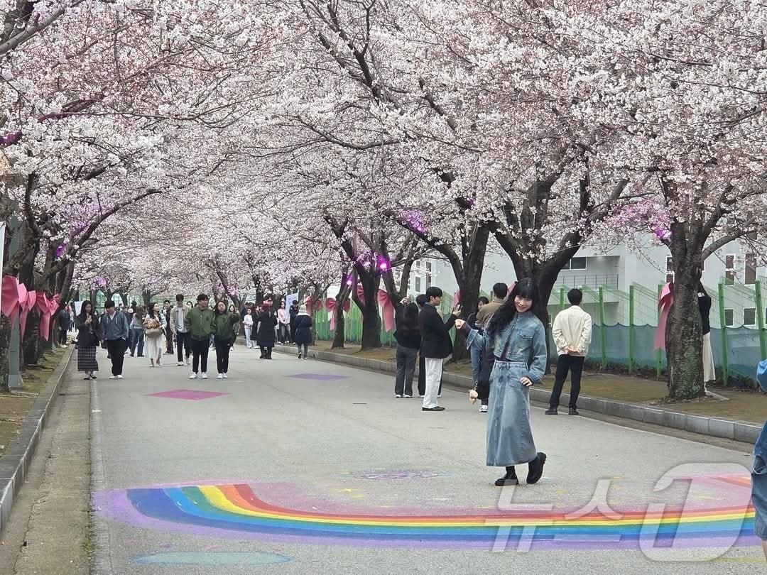 본문 이미지 - 제3회 고창 벚꽃축제 개막&#40;고창군 제공. 재판매 및 DB금지&#41; 