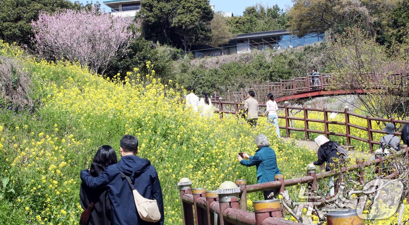 맑은 날씨를 보인 6일 오전 유채꽃과 복사꽃 등 각종 봄꽃이 만개한 제주 서귀포시 색달동 엉덩물계곡에서 상춘객들이 봄 정취를 즐기고 있다. 2025.4.6/뉴스1 ⓒ News1 오현지 기자