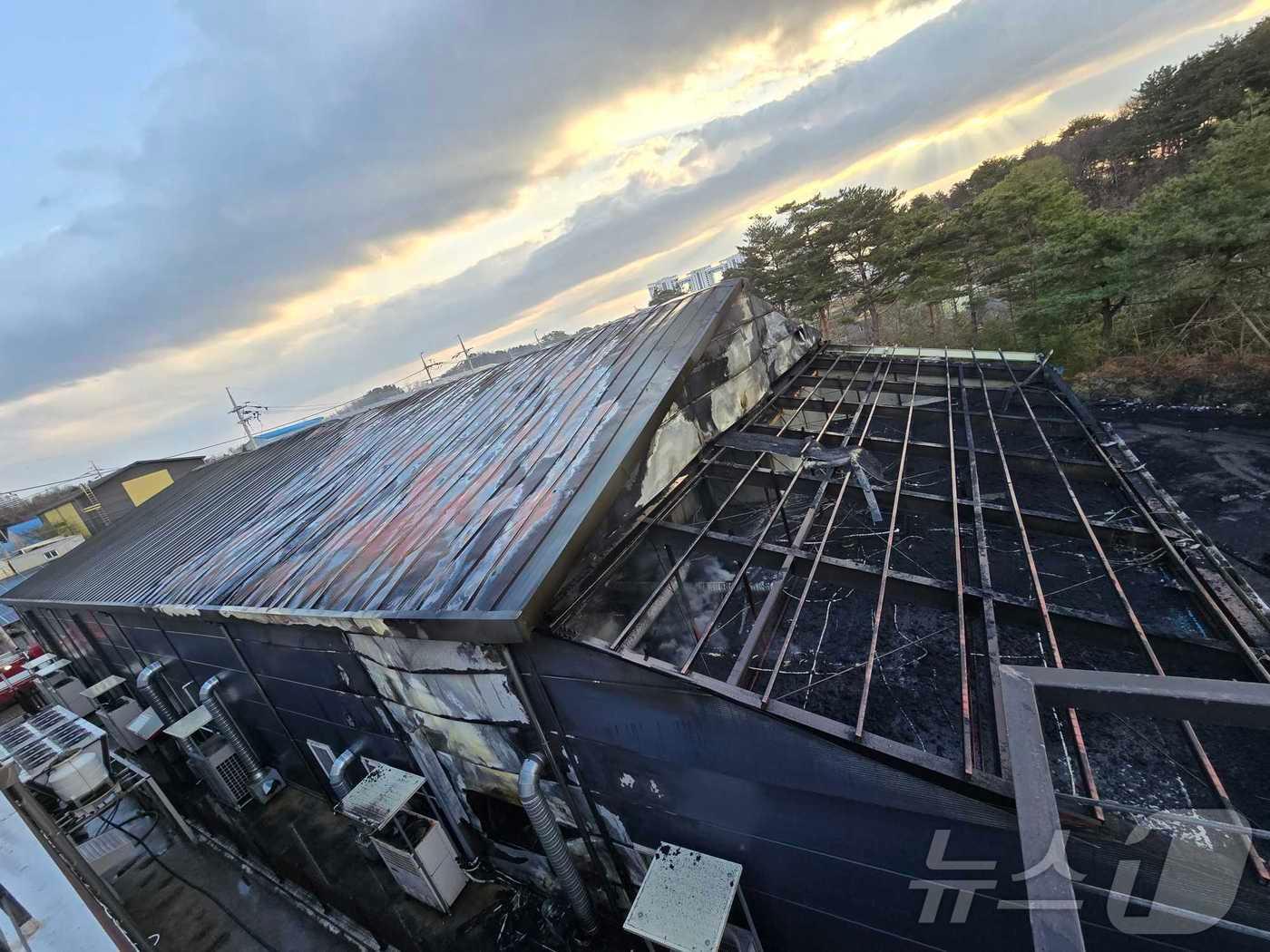 본문 이미지 - 6일 새벽 강원 속초시 대포농공단지 제조업체 화재 현장.(강원도소방본부 제공, 재판매 및 DB 금지) 2025.4.6/뉴스1