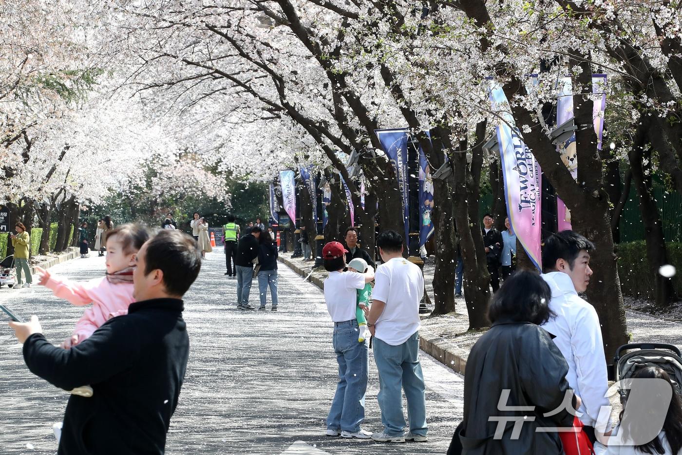 본문 이미지 - 지난해 대구 이월드 벚꽃축제 기간 83타워 진입로에 바람을 타고 벚꽃잎이 흩날리는 모습. 2025.4.6 ⓒ 뉴스1 공정식 기자