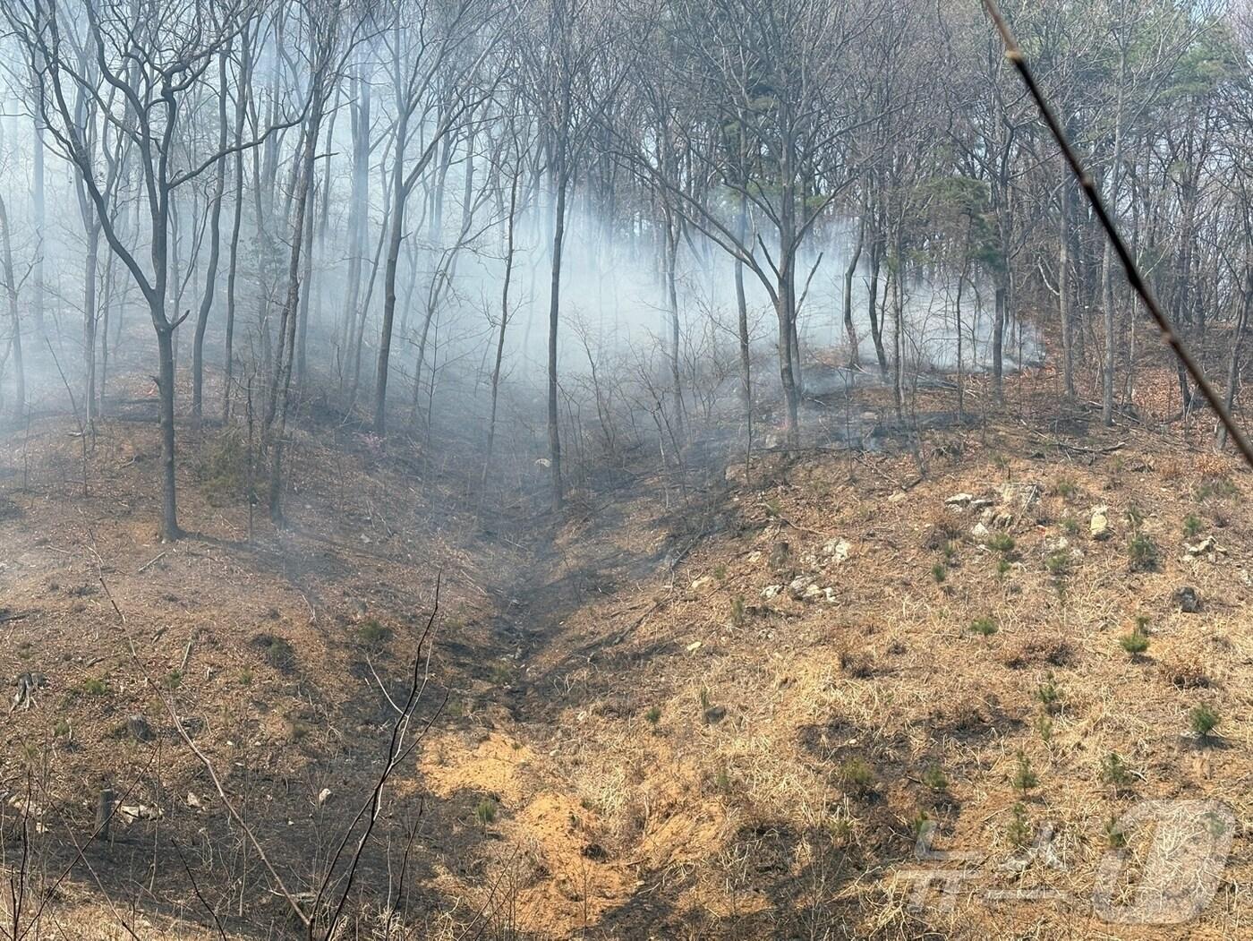 본문 이미지 - 청주시 문의면 산불. (시 제공. 재판매 밎 DB금지)