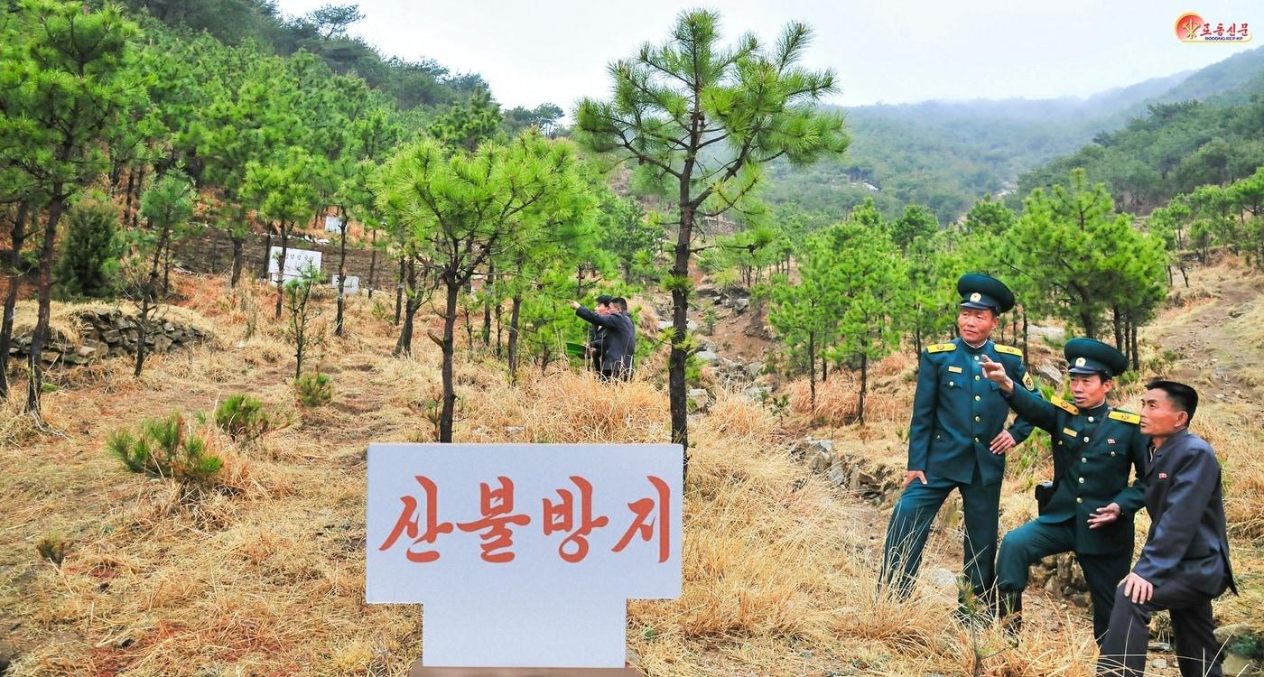 &#40;평양 노동신문=뉴스1&#41; = 자료사진. [국내에서만 사용가능. 재배포 금지. DB 금지. For Use Only in the Republic of Korea. Redistribution Prohibited] rodongphoto@news1.kr