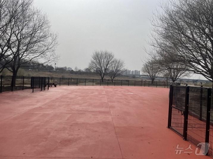 본문 이미지 - 파주시 금릉동에 문을 연 첫 반려견 놀이터. (파주시 제공, 재판매 및 DB금지)