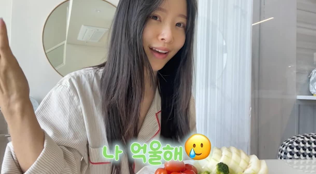 본문 이미지 - (이솔이 유튜브 갈무리)